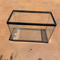  20-gallon Aquarium