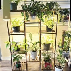 Plant Stand  with 6 Grow Lights  New In Box
