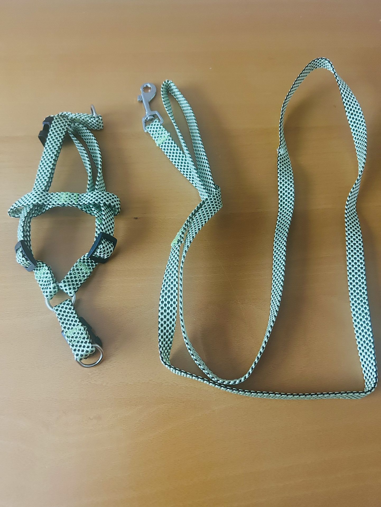 Small dog harness light adjustable with leash lime green 53 L outdoor, safety