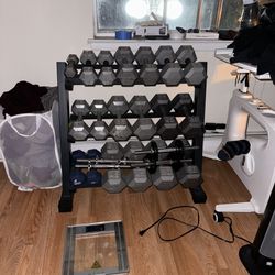 Dumbell Weight Set, Weight Plates (205+ Pounds), Dumbell Stand, Walking Pad 