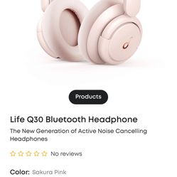 Life Q30 Bluetooth Headphones