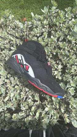 Jordan 8 playoff