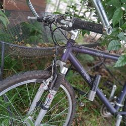 Trek Mountain Bike
