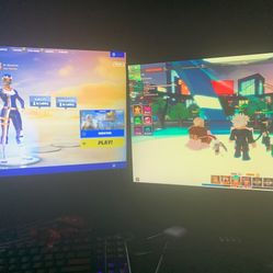2 Monitors With Mount 