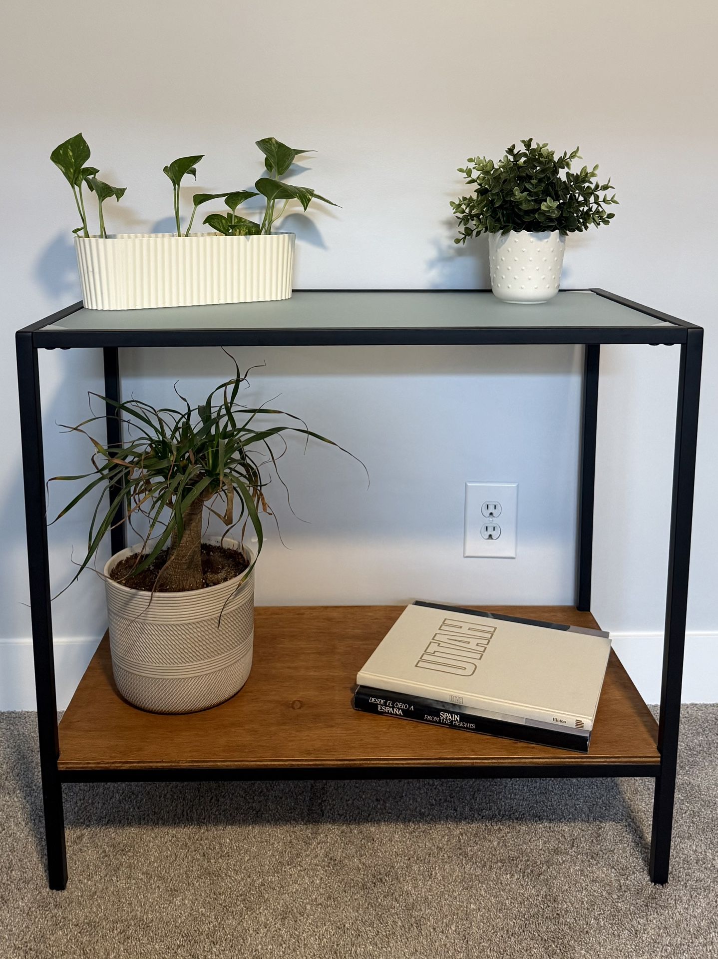 Modern Entryway Table / Plant Stand