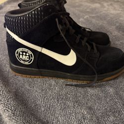 Nike Supreme Hi Dunk Alife ARC