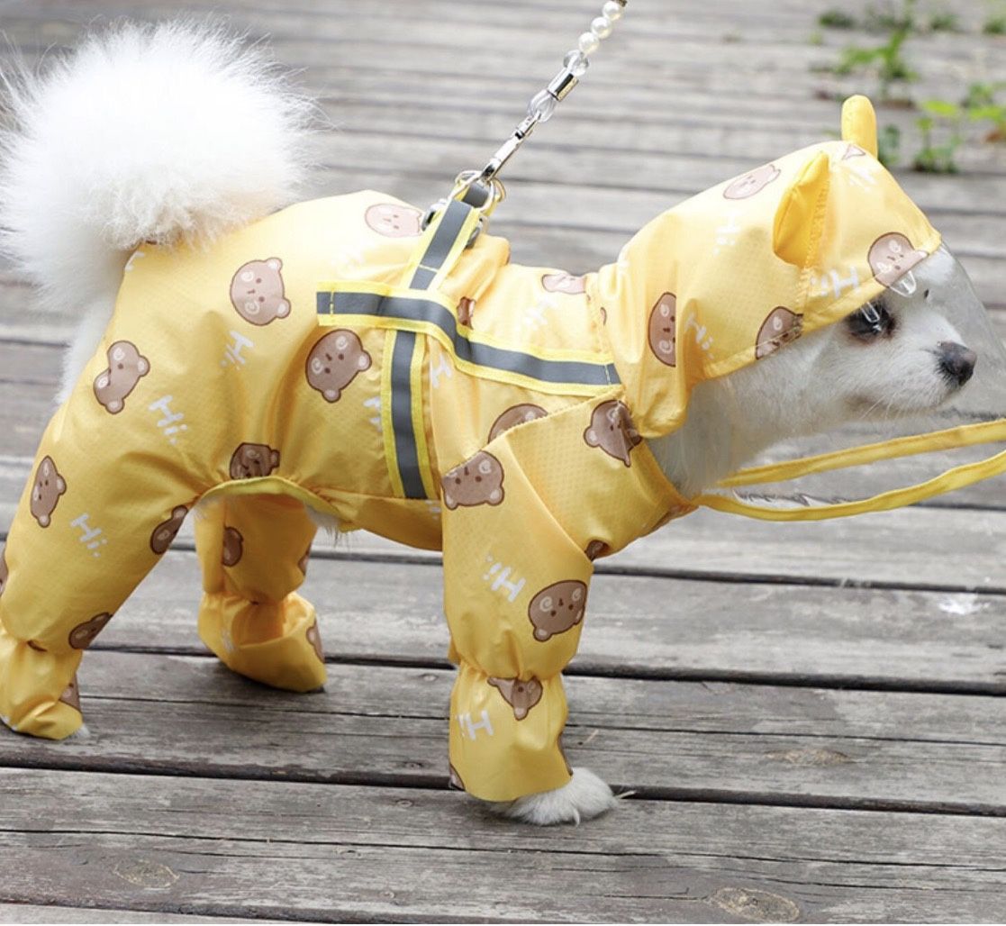 NEW! Dog Raincoat Waterproof - Bee Or Bear