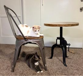 Industrial Metal Chair with Wood Seat