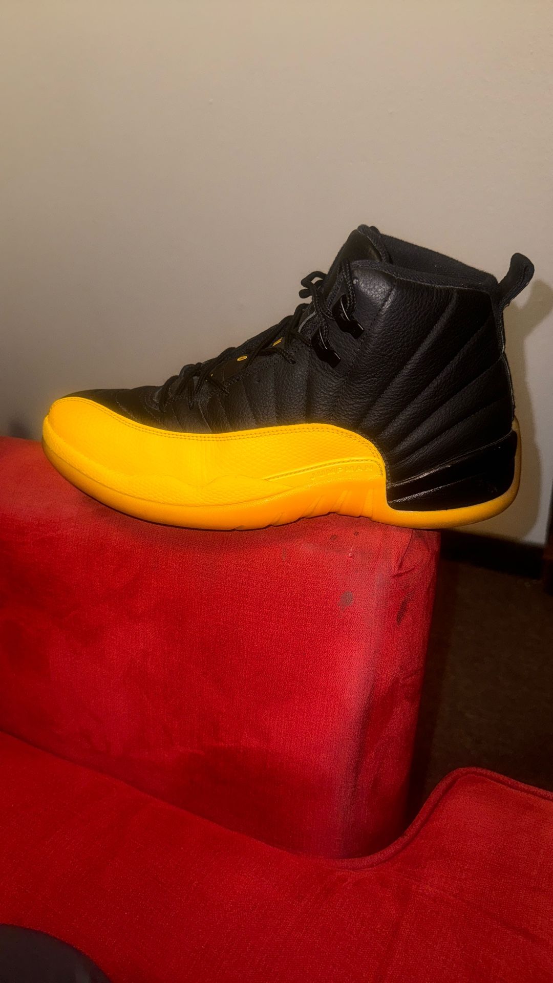 Retro Jordan 12
