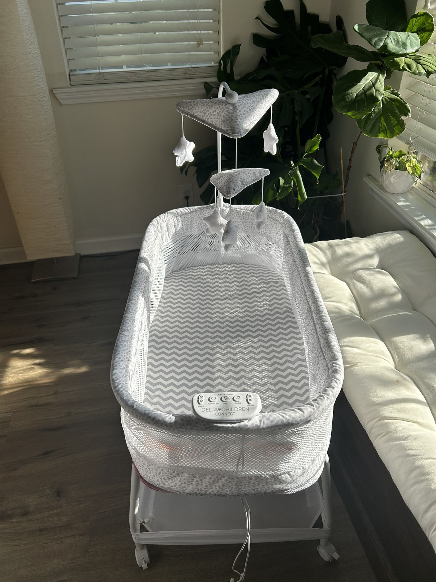 Bassinet