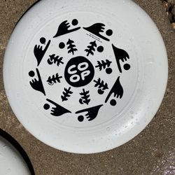 REI Co-Op Flying Disks 