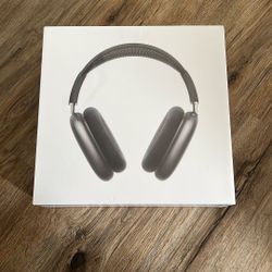 AirPods Pro Max USB-C