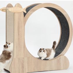 Cat Wheel,3-in-1 Cat Exercise Wheel,Upgraded Large Cat Wheels for Indoor Cats,41.3”H Cat Treadmill Cat Running Wheel Exercis