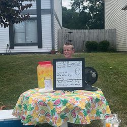Lemonade stand