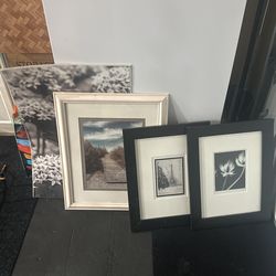 Free Decorative Pictures