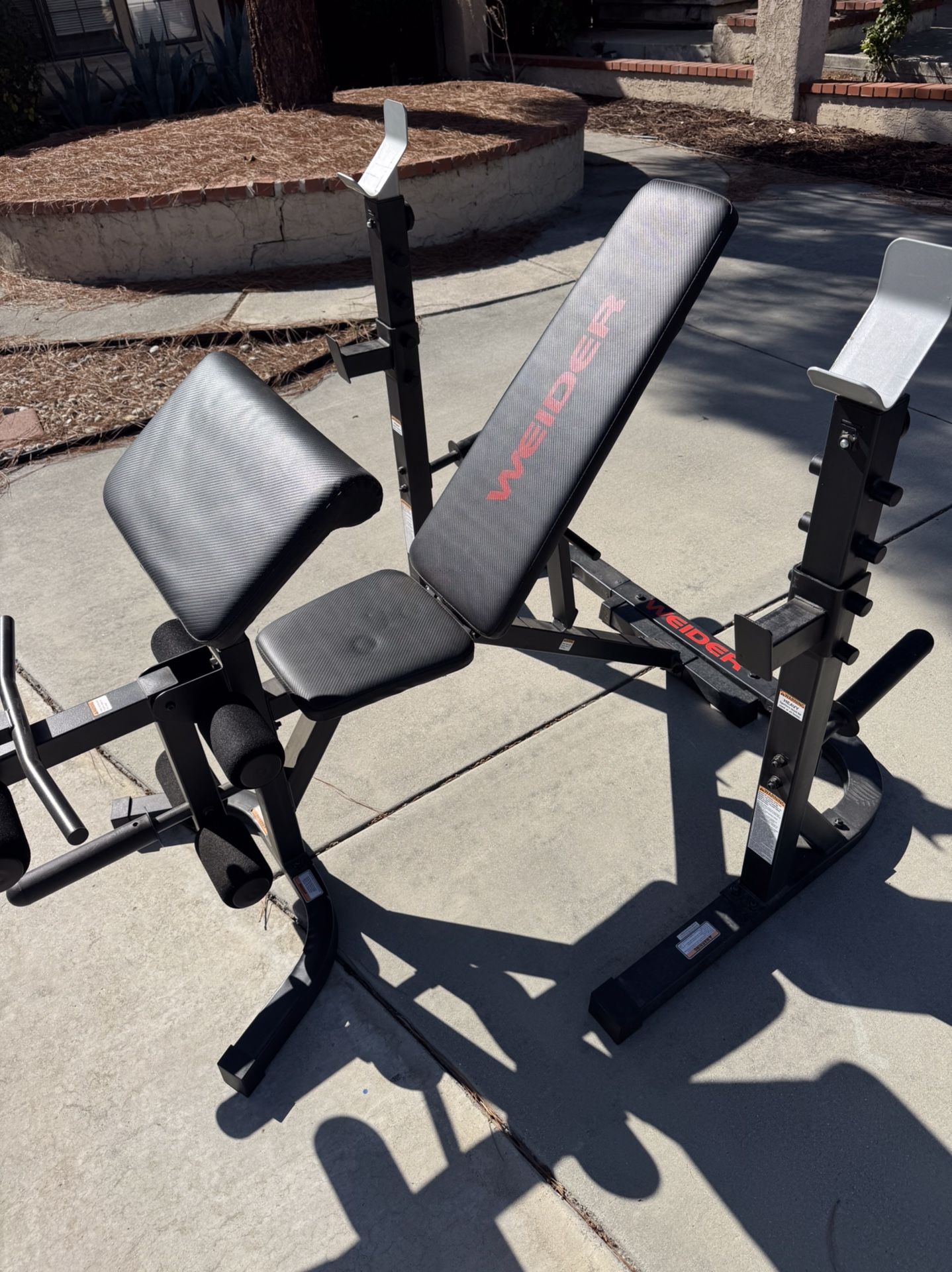 Weight Bench, Bench Press, Squat Rack, Curls