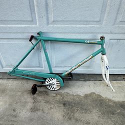  vintage GT Pacific Flyer BMX bicycle. 