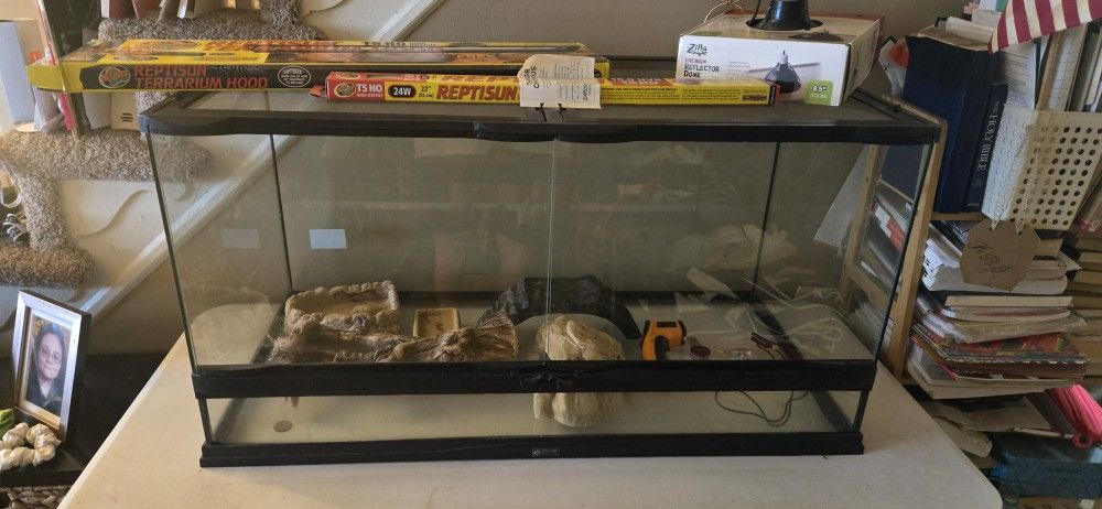 Bearded Dragon Enclosure & Accessories 