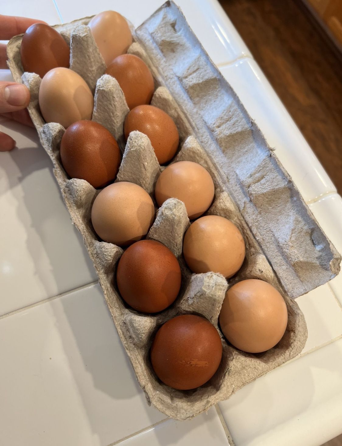 Fresh Eggs One Dozen