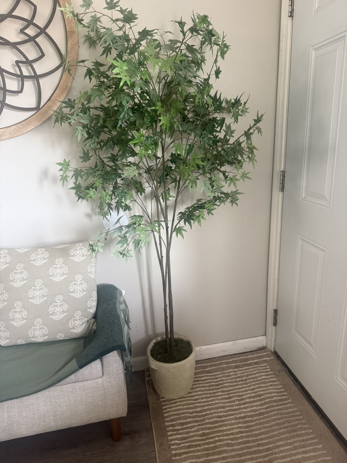 threadhold Target Plant