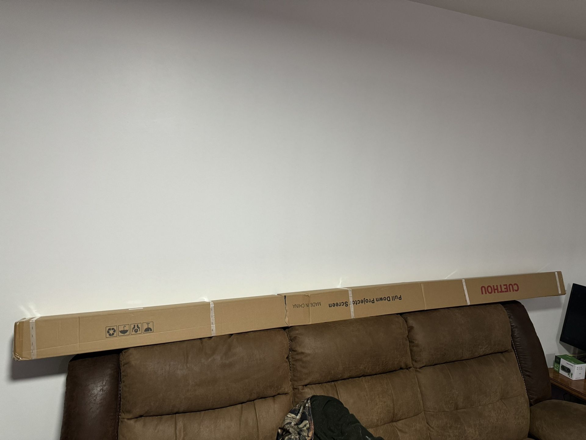 Projector Screen (100 in)