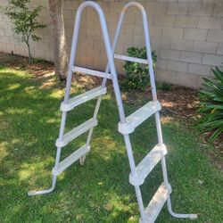  3 step pool ladder!