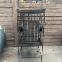 Bird Cage 