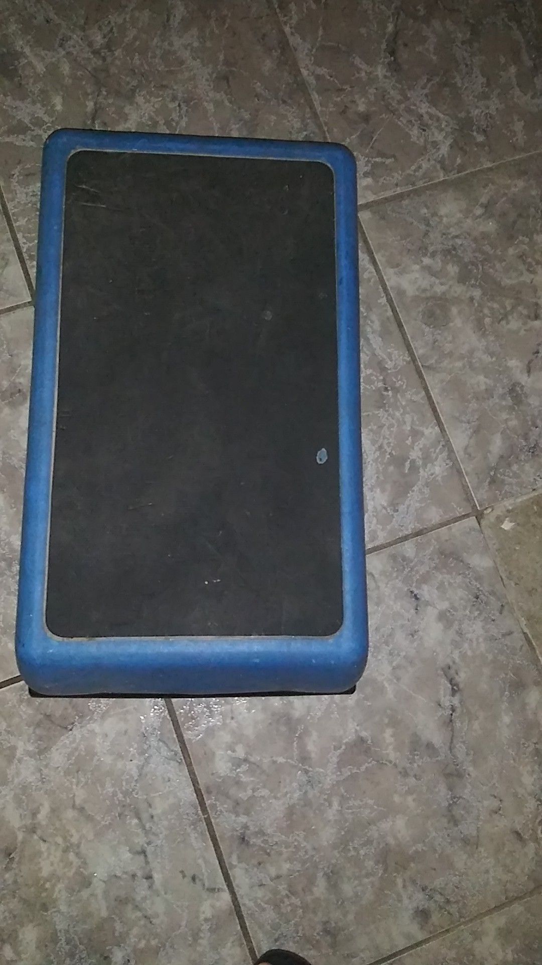 Exercise stepper