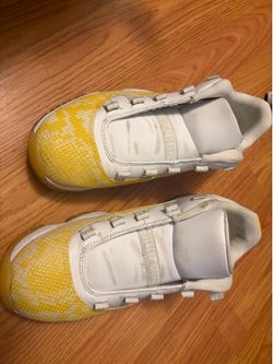 Used jordan 11 low snake skin