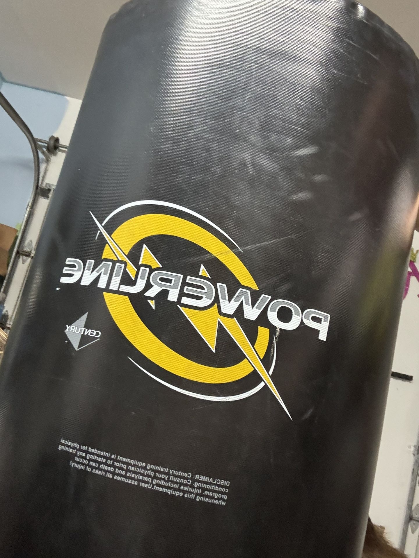 Standing Punching Bag