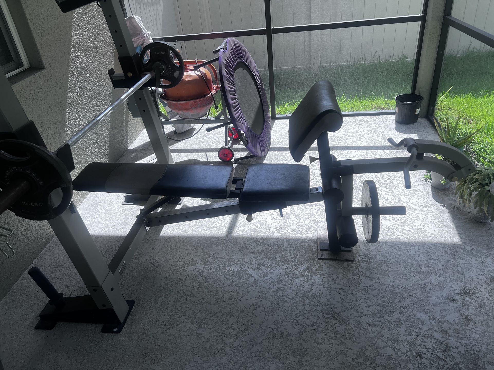 Exercise Bench gold's Gym