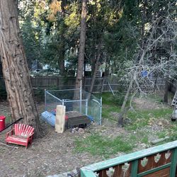 Dog kennel and extra chainlink fence