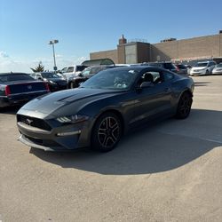 Ford Mustang Eco Premium 2020