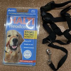 Halti Head collar Dog