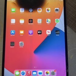 iPad Pro 1st Gen 256gb. Cracked Screen.  