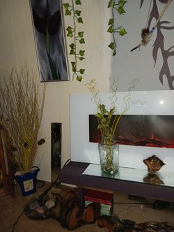 Various Items Just Lmk What You Like and I'll Get Right Back To You.