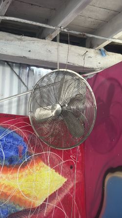 Fan