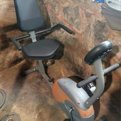 Recumbent Exercise Bike Amazon 