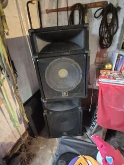 BullFrog 15" Concert Speaker