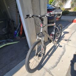 Trek Bike