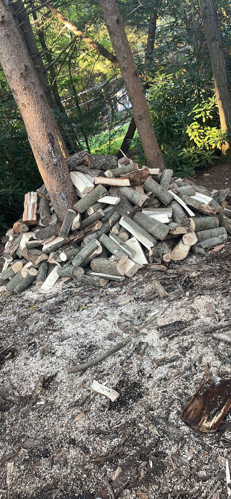 $100 Firewood