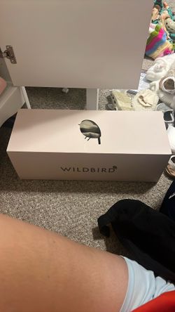 Wild Bird- Desert Lark - Aerial Carrier