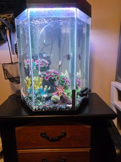 Fish tank