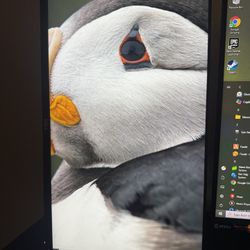 24 Inch Dell Monitor