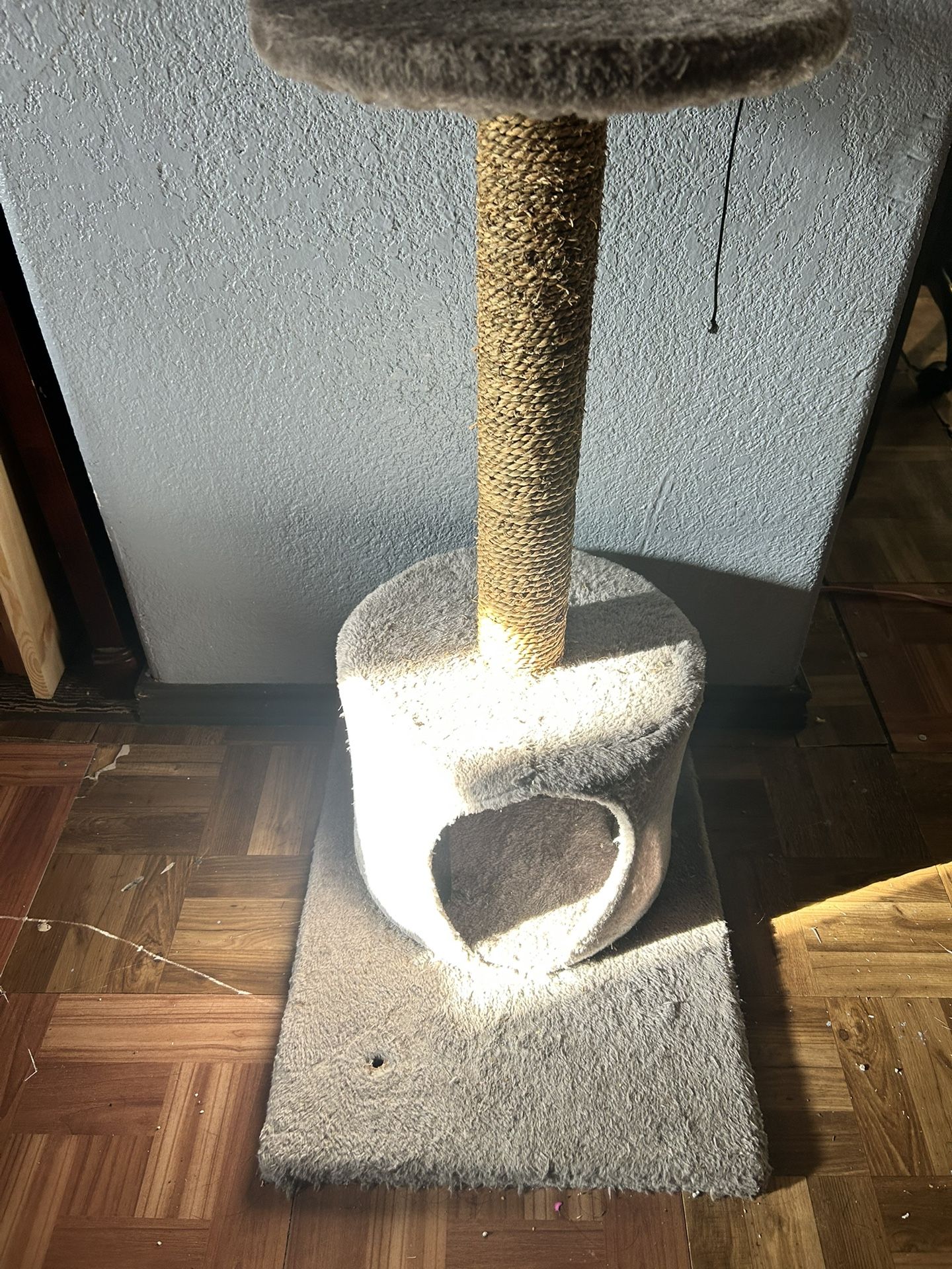 Cat Stand