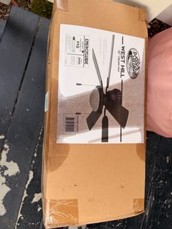 Free matte black ceiling fan