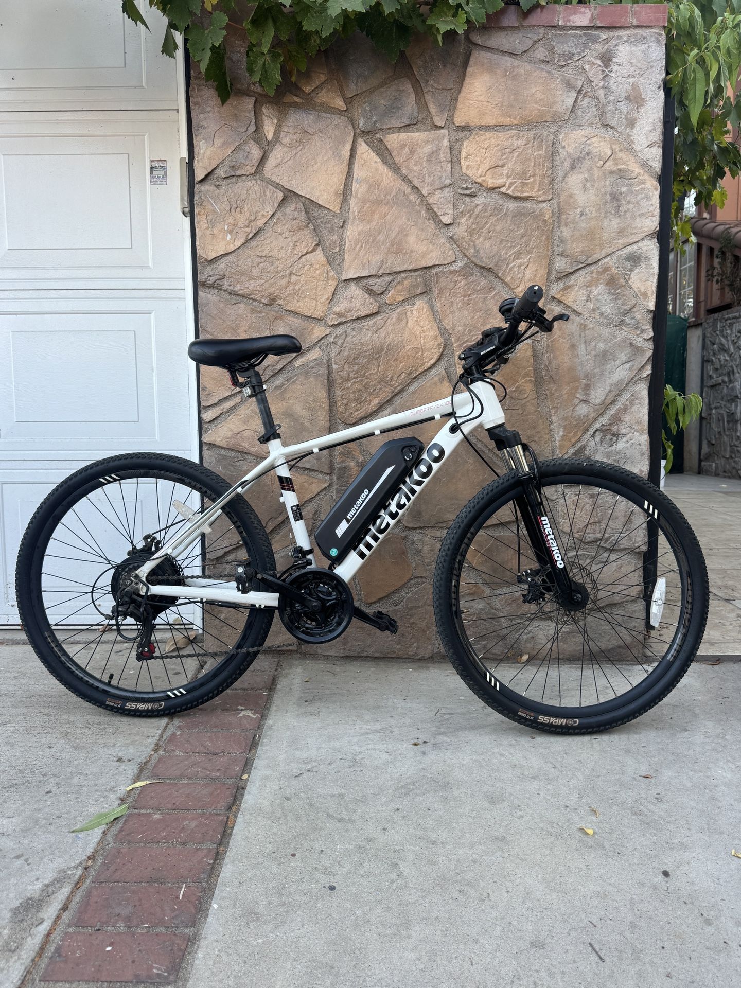 Metanol Electric Bike 