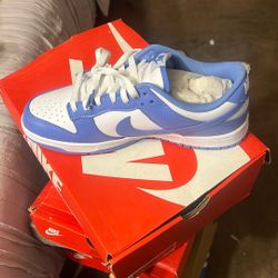 Nike Dunks BTTYS