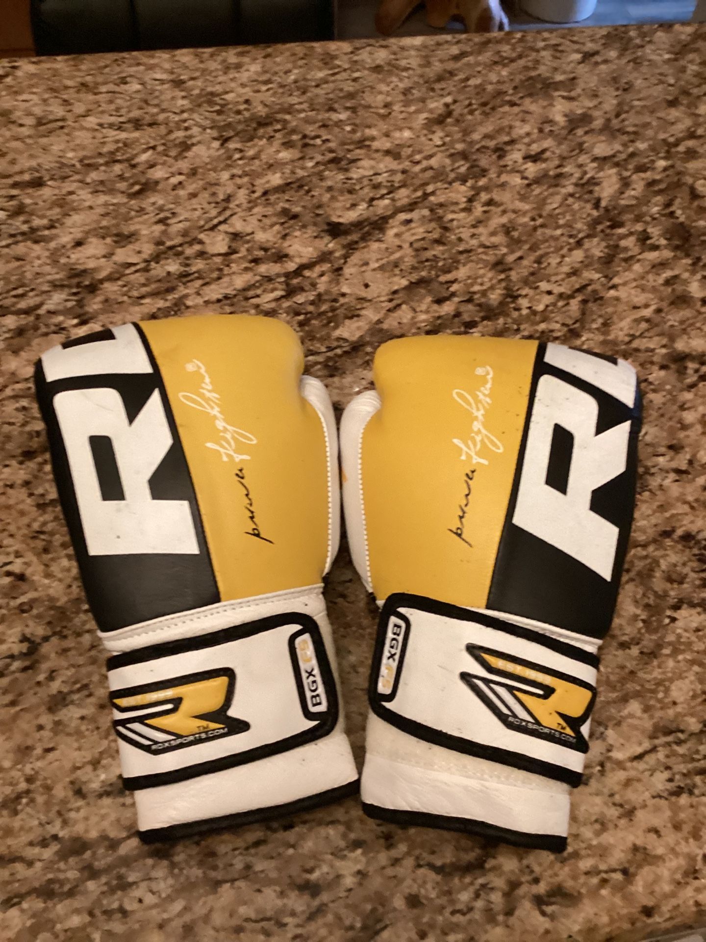 RDX boxing and Martial arts gloves size F5