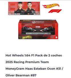 HW Premium MONEYGRAM HAAS F1 TEAM